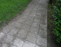RENOMAT RENOMAT