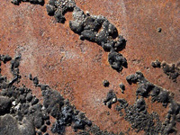 BIOSOLV 12 BIOSOLV 12